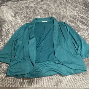 Teal coverup